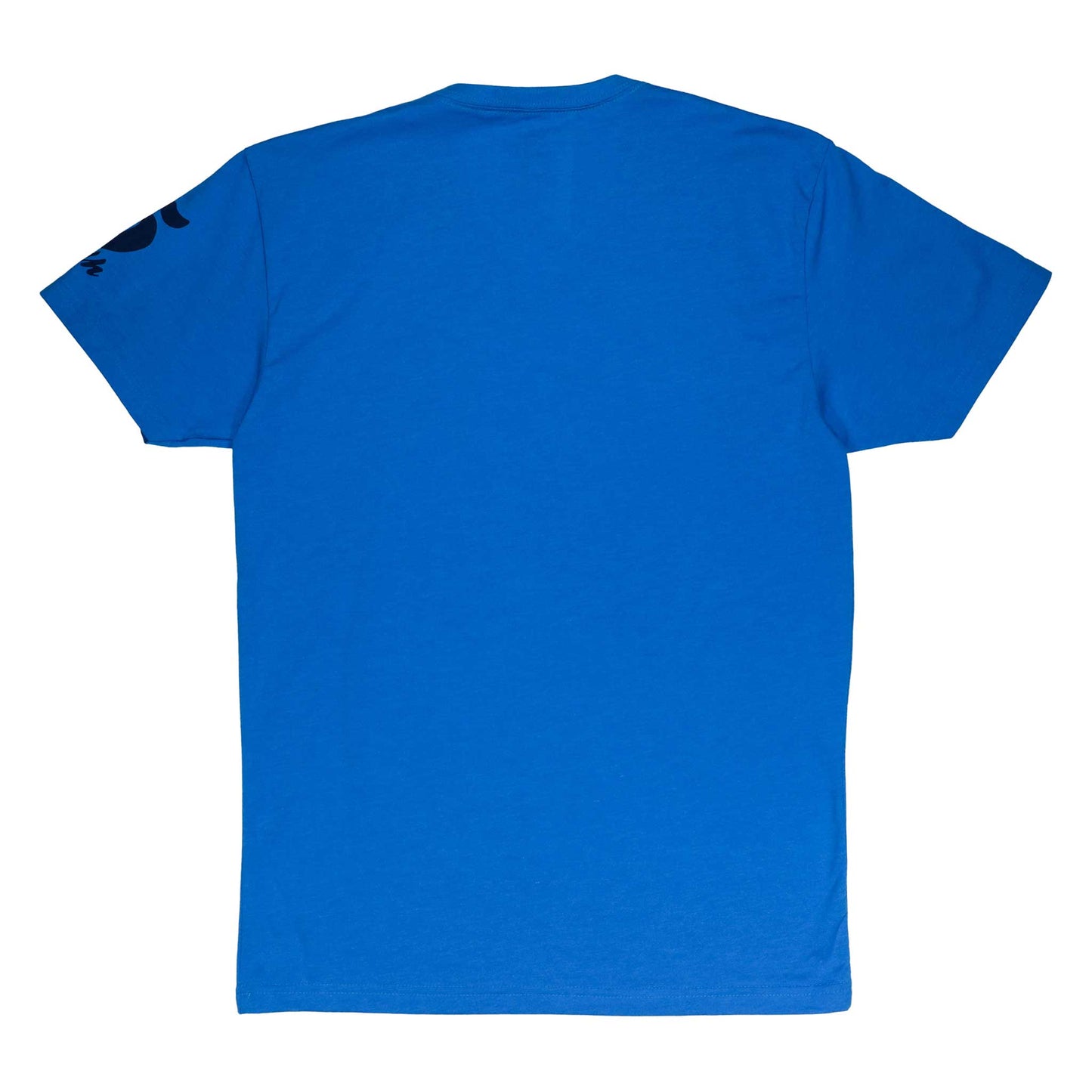 Women's Passo Dello Stelvio Teal V-Neck T-Shirt-Vaughn de Heart