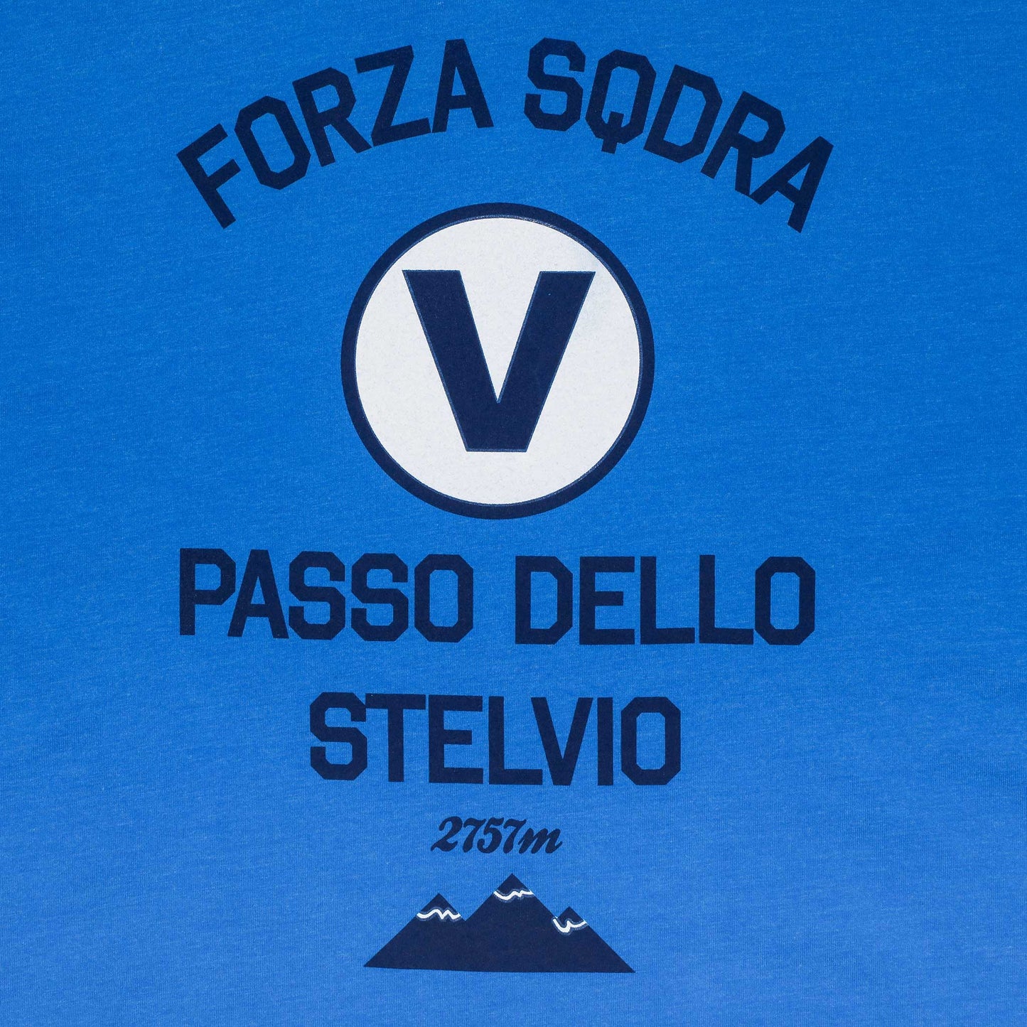 Men's Passo Dello Stelvio Teal V-Neck T-Shirt-Vaughn de Heart