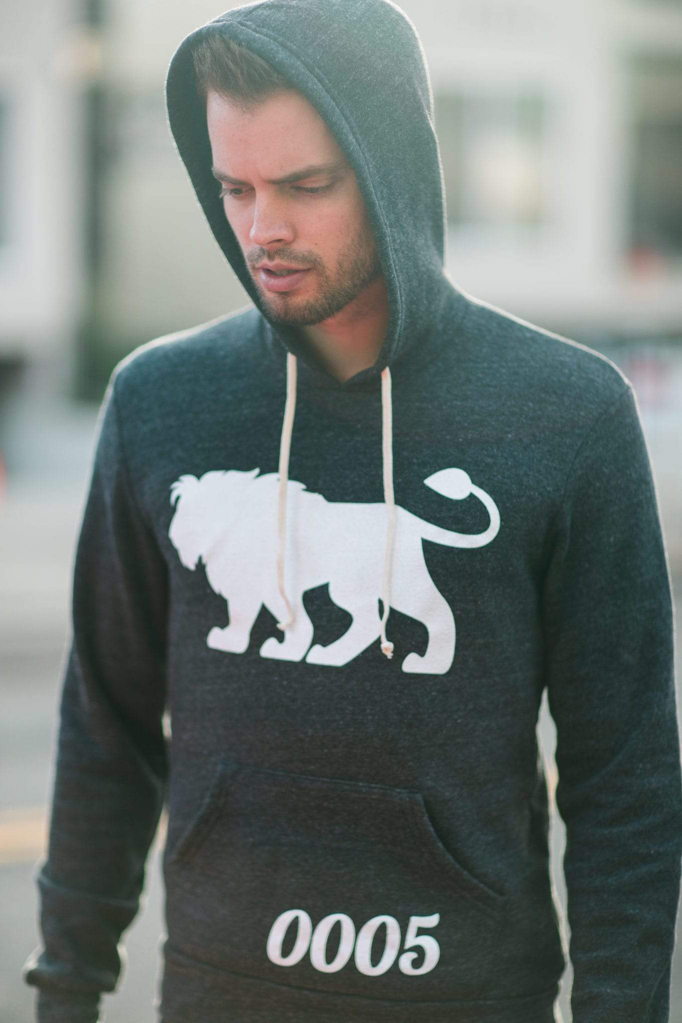 Men's - Je Suis un Lion Heather Grey Pullover Hoodie-Vaughn de Heart