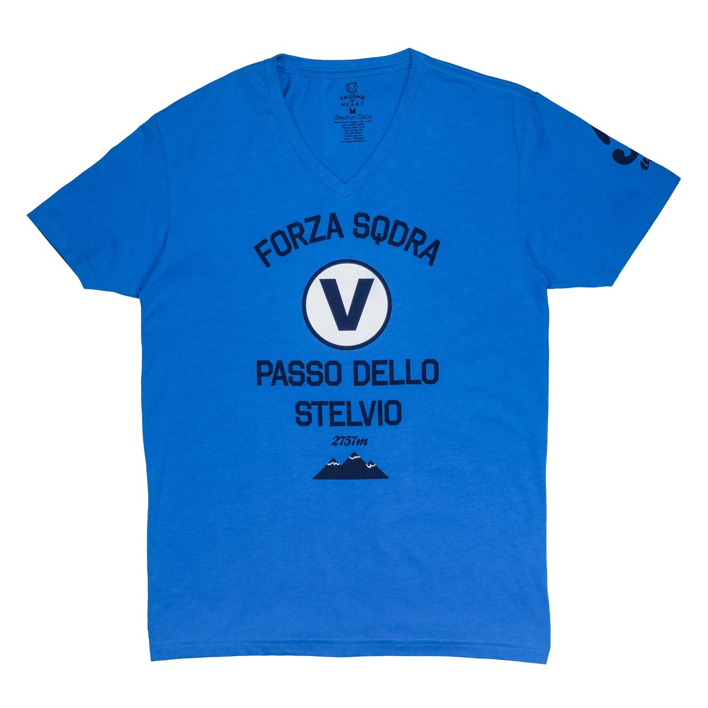 Women's Passo Dello Stelvio Teal V-Neck T-Shirt-Vaughn de Heart