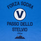 Men's Passo Dello Stelvio Teal V-Neck T-Shirt-Vaughn de Heart